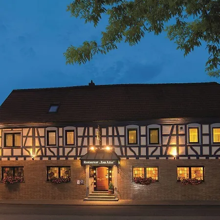 فندق Zum Adler 3*